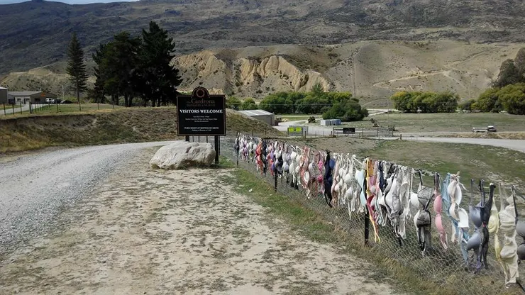 卡德羅納胸罩圍欄