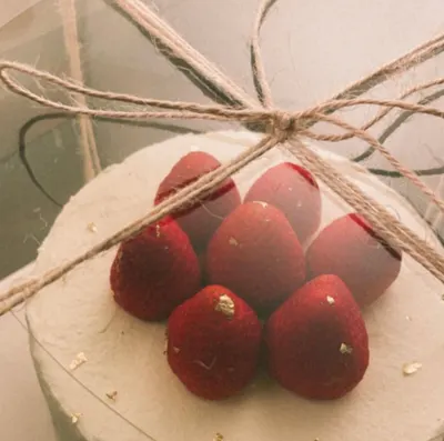 關於萬物之始，我們總是心存浪漫。