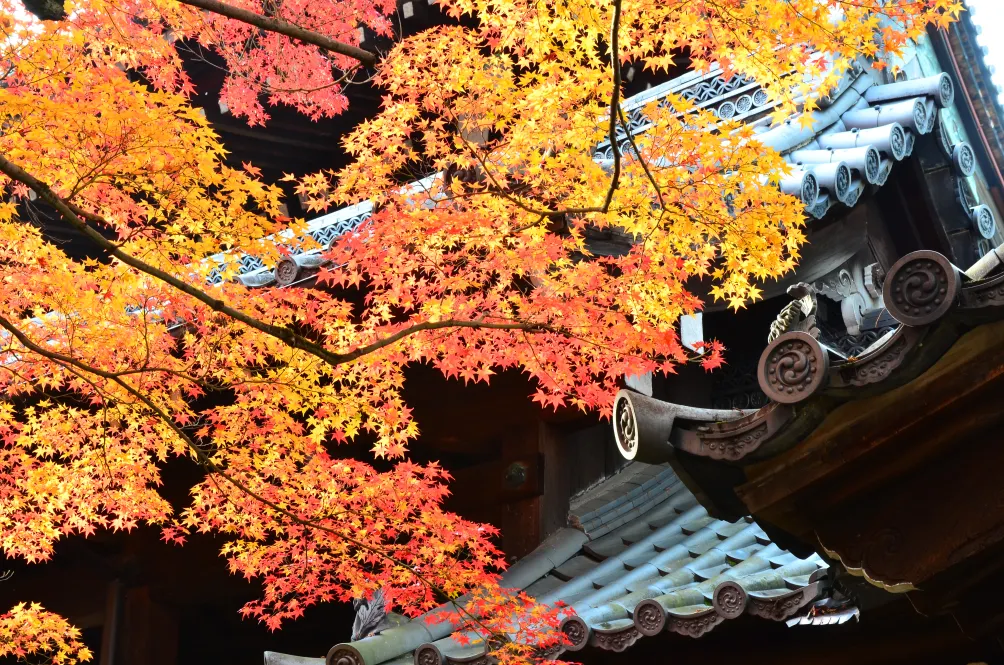 獨旅大餅の部屋