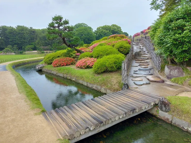 唯心山坡上種有各色不同的杜鵑花