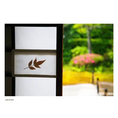 京都 | 芬陀院(雪舟寺) ② | 障子