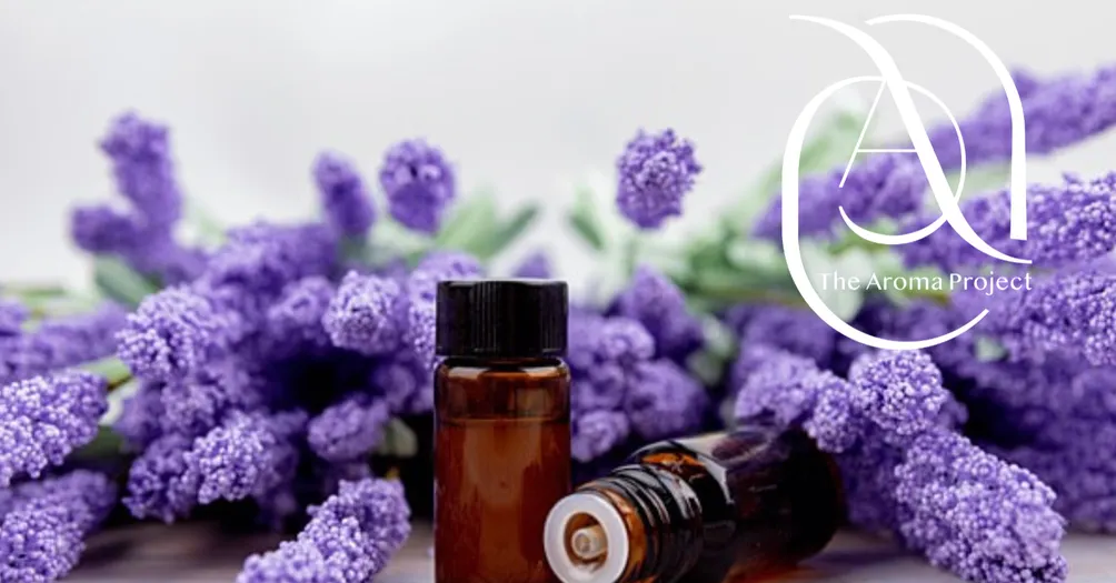 The Aroma Project