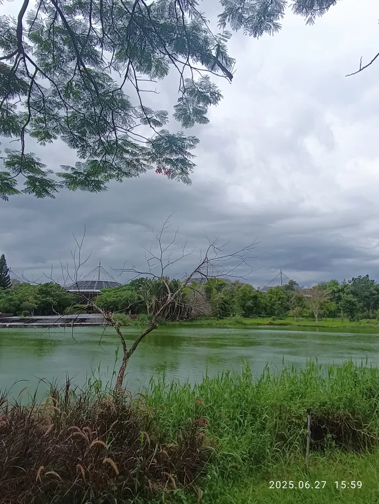 魚躍湖心弄波綠，自拍攝