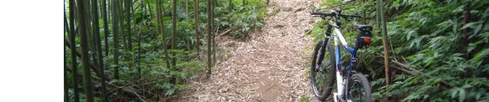 Allen Tseng的鐵馬點點滴滴