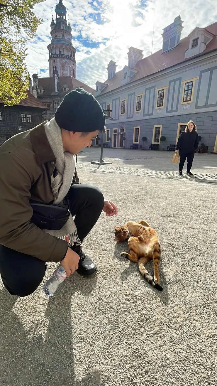 CK城堡的翻肚貓咪