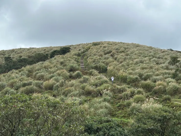 大風指揮的樂隊