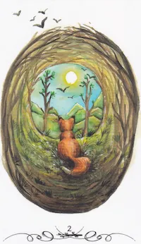 Tarot Renard