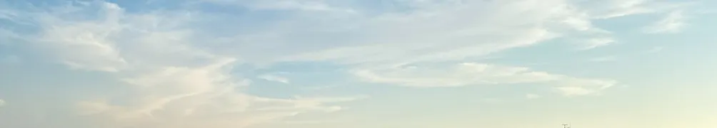 丸室問事｜動物溝通的沙龍