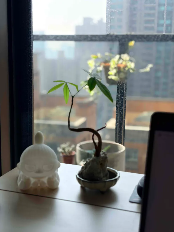 灑滿陽光的書桌窗景