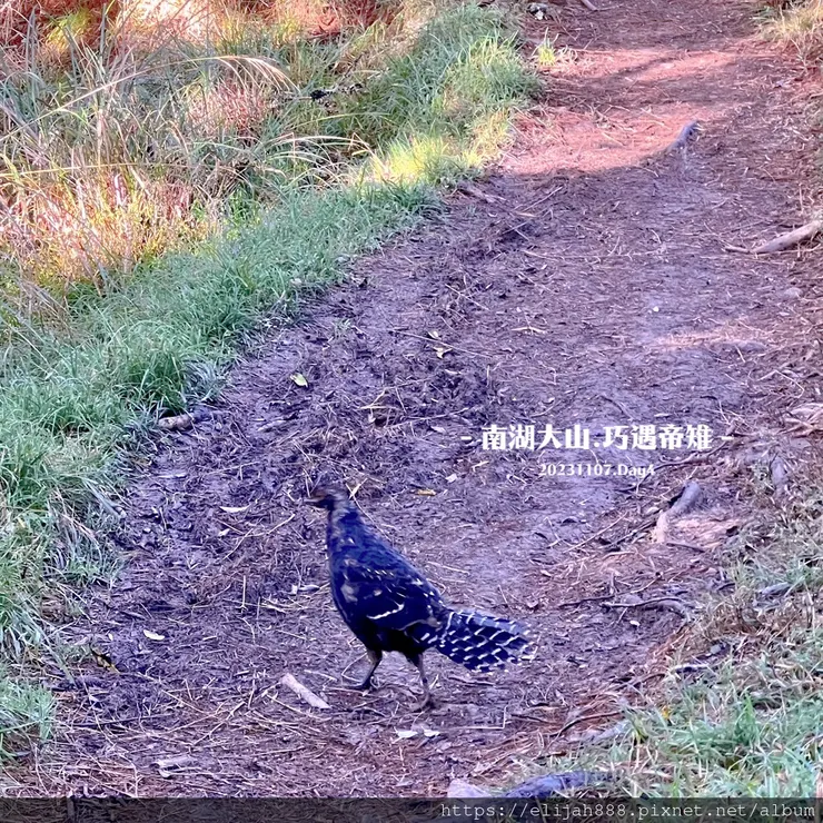 【帝王之山4天3夜】南湖大山之多加屯山/方便屋洗漱/最終日/