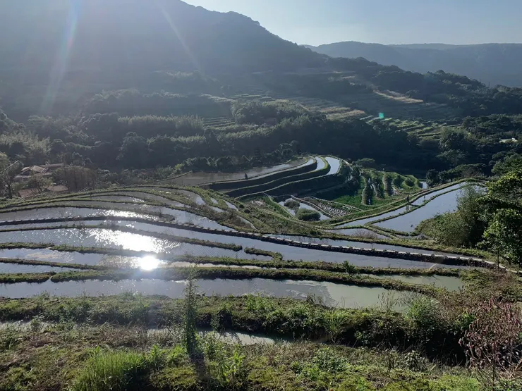 石門嵩山-百年梯田
