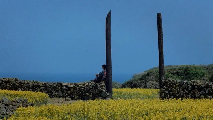 © 中央電影公司（Central Pictures）