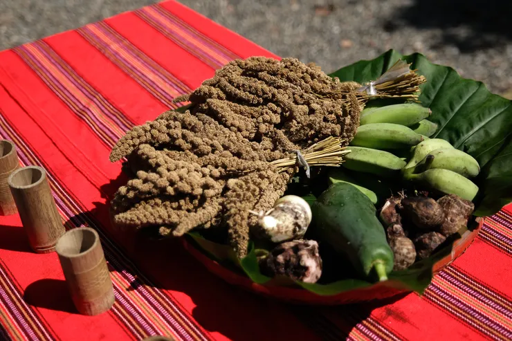 主婦聯盟環境保護基金會提供,陳宇暘攝