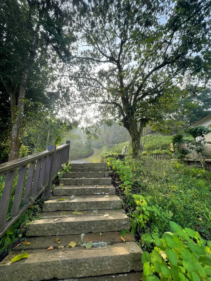 早晨的山間小徑