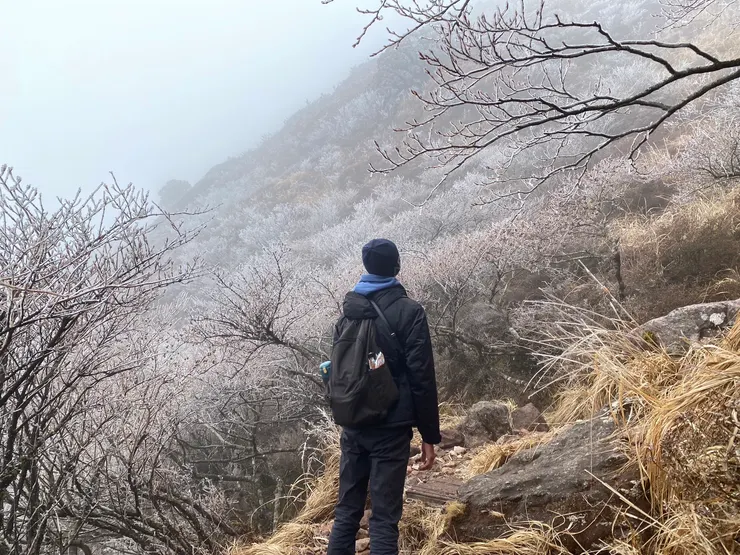 日本大分-由布岳