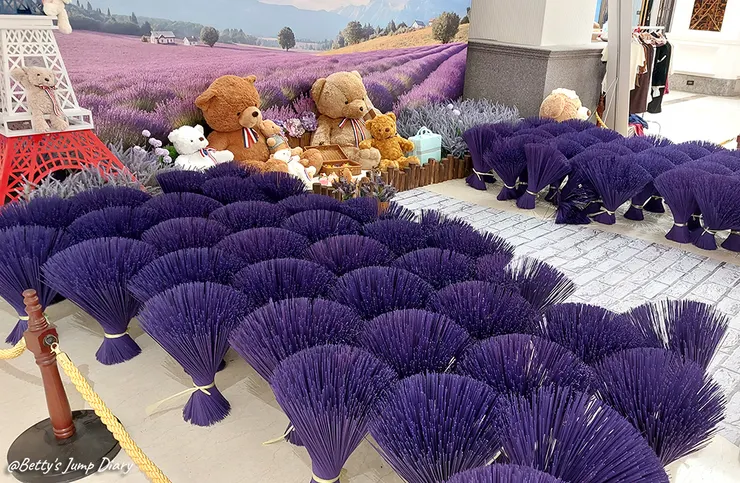 ▲佐登妮絲城堡/圖片來源:Betty's Jump Diary