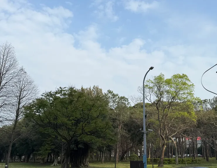 2026/03/17 散步風景