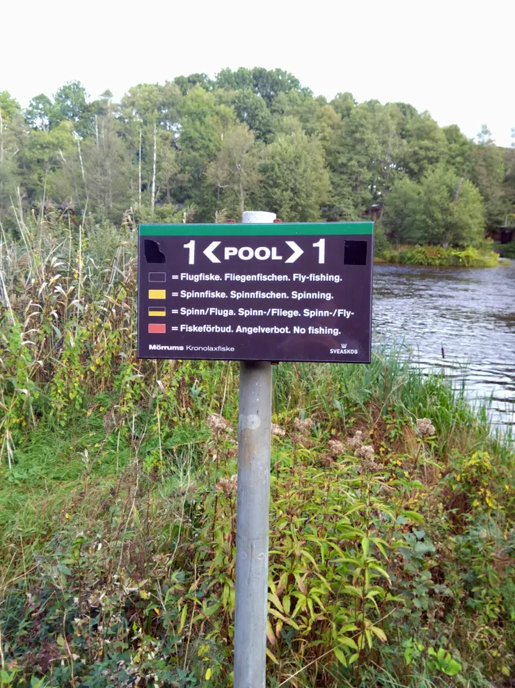 Pool告示牌,上頭清楚標示這一區允許的釣法