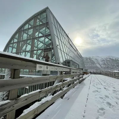 Nyx｜工作與世界的邊角觀察