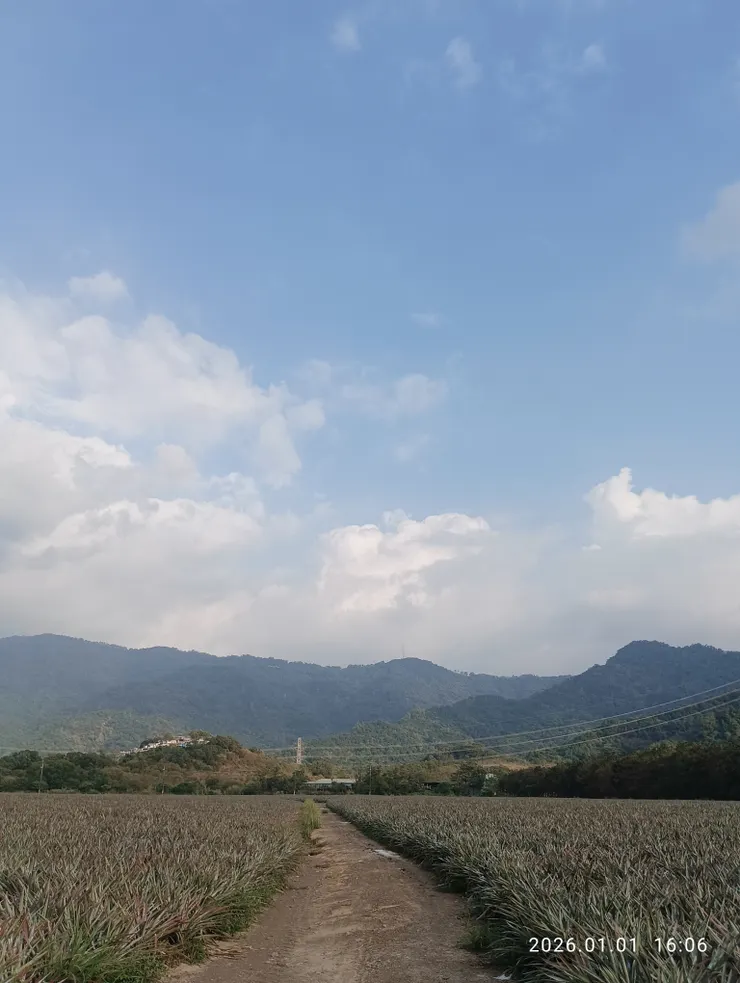 遊冶總是行雲處
