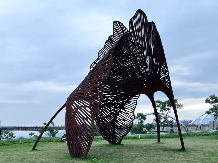 根源(Roots)｜Juanjo Novella