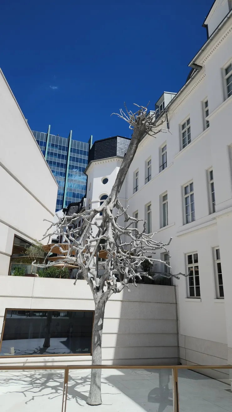 法蘭克福猶太博物館外那兩棵上下交疊的樹木,是一件名為 《Zwei Bäume》(兩棵樹) 的雕塑作品,由藝術家 Ariel Schlesinger 創作,這件作品放在博物館門口,像是一個邀請——邀請每個進入的人,先停下來,看看這棵「不太正常」的樹,然後開始思考:什麼是正常?什麼是歷史?什麼是我們忘記了但應該記得的?