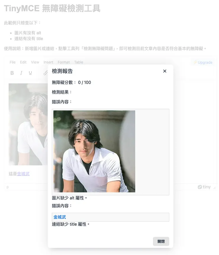 以 TinyMCE 為例，建立小工具檢測文章內容是否符合無障礙規範