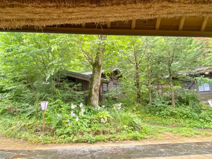 躺在榻榻米上聽雨聲