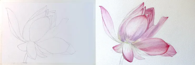 YH.CC@水彩練習W69線稿，構圖參考網路夏荷攝影。