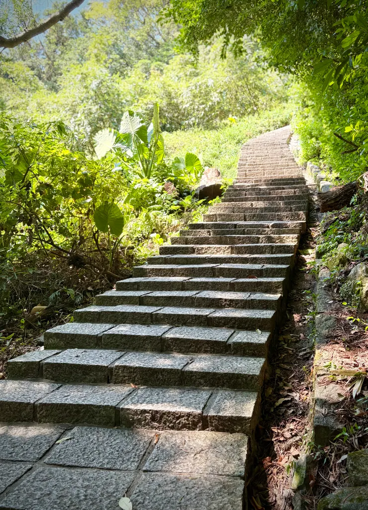 雖然有1300階,但都是這樣平緩完善的階梯很好走。也常有馬拉松跑者在這進行來回跑坡訓練