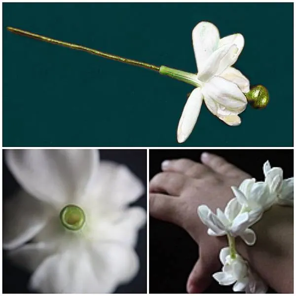 茉莉花蒂中心有孔，正好可用來插簪或串繩。在清代生活大師李漁眼中簡直就是一種為女性助妝的花。