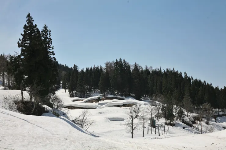 ▲冬天的越後妻有。（阿G 攝）