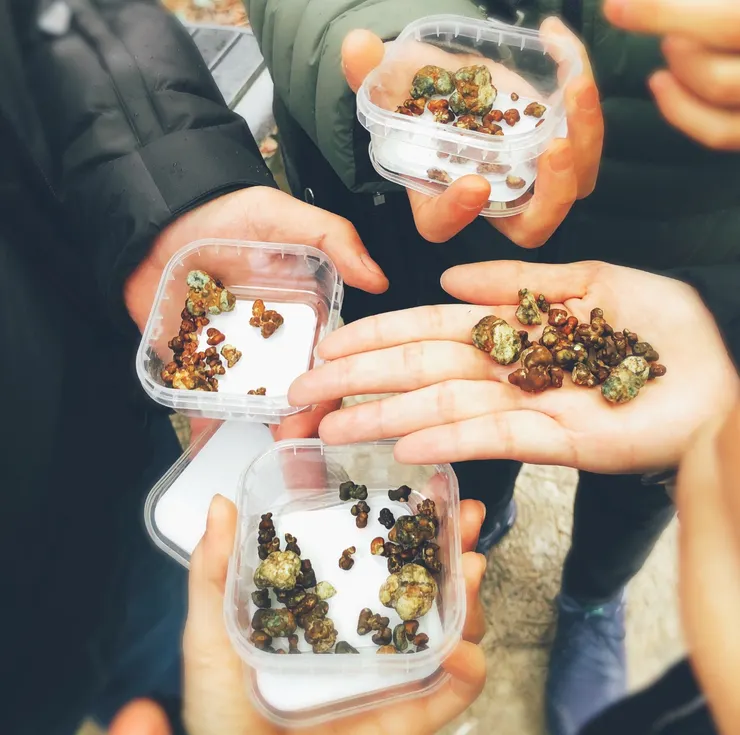 一人10g的松露本人 | 攝影：Lillian Chen