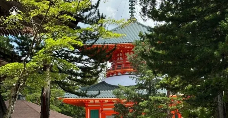 高野山壇上伽藍根本大塔，紅白相間建築被綠意包圍