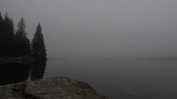 雖然霧是霧,但那天真的沒啥人,當下呈現的氛圍真的是會讓你想躺下來睡覺,或是會有人坐在湖邊寫生的那種,十分的恬靜舒適