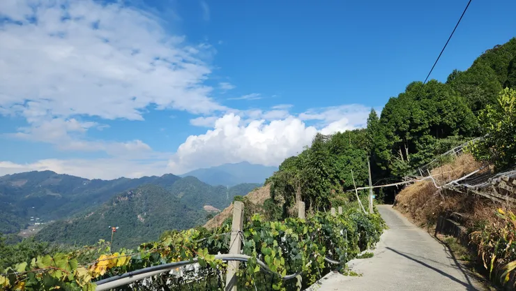 天氣好得不得了。