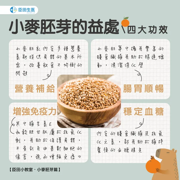 小麥胚芽-好處