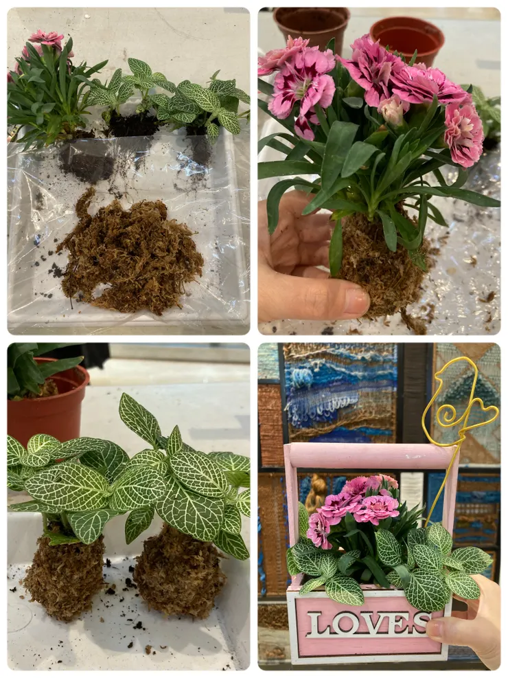 換自己動手做看看