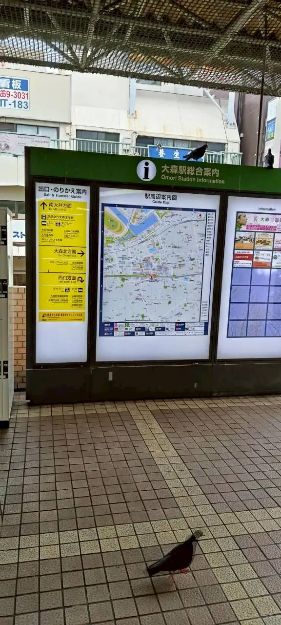 出大森駛的樓梯區