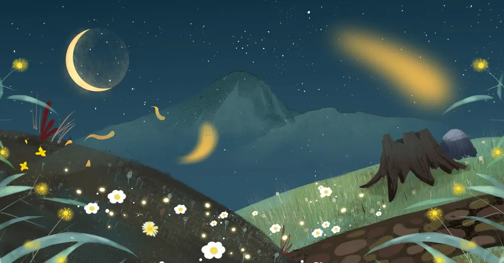 心⭒之所向𓇼 ⋆｡˚ 𓆝 𓂃 𓈒𓏸‪‪