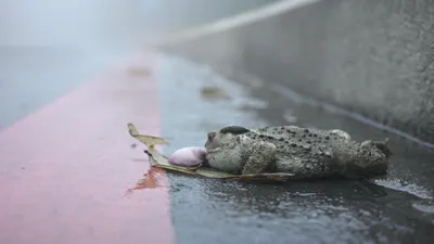 山居獨行電子報訂閱