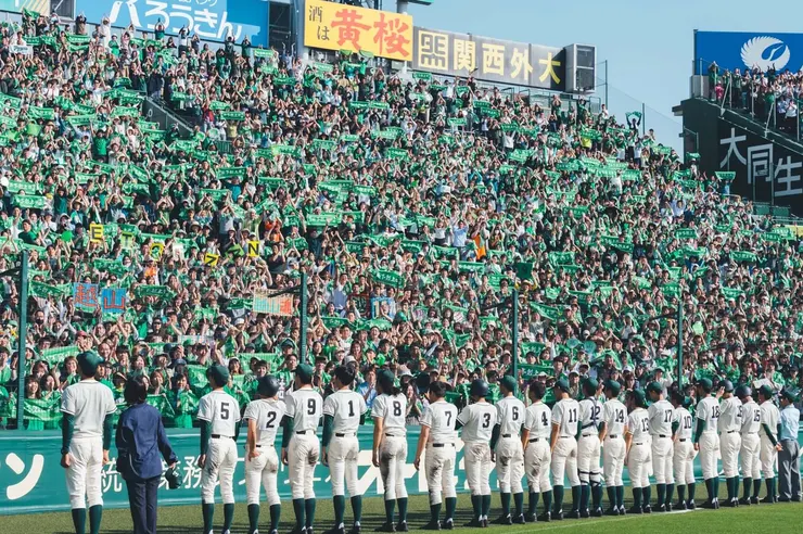 甲子園的綠海
