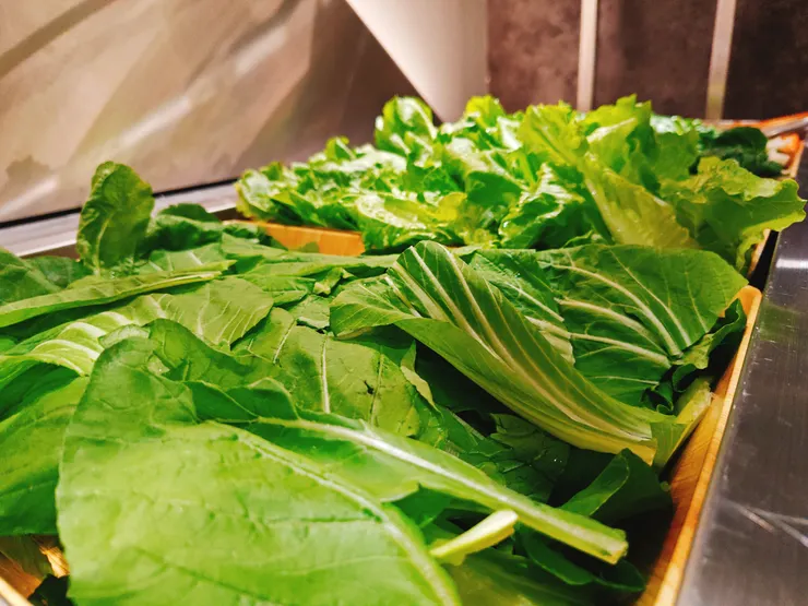 有機蔬菜自取區