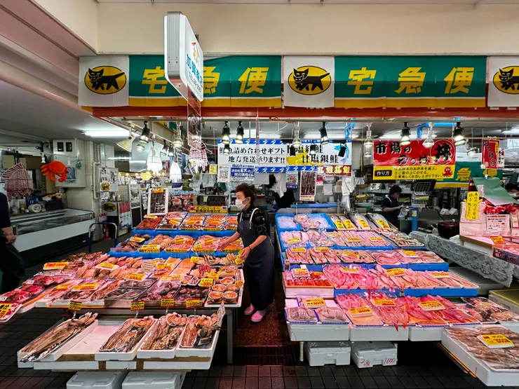 目不暇給的漁獲海產