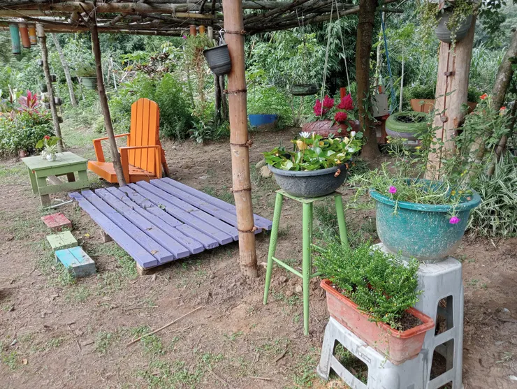 把颱風前的照片再貼出來，重建之路欣然開始