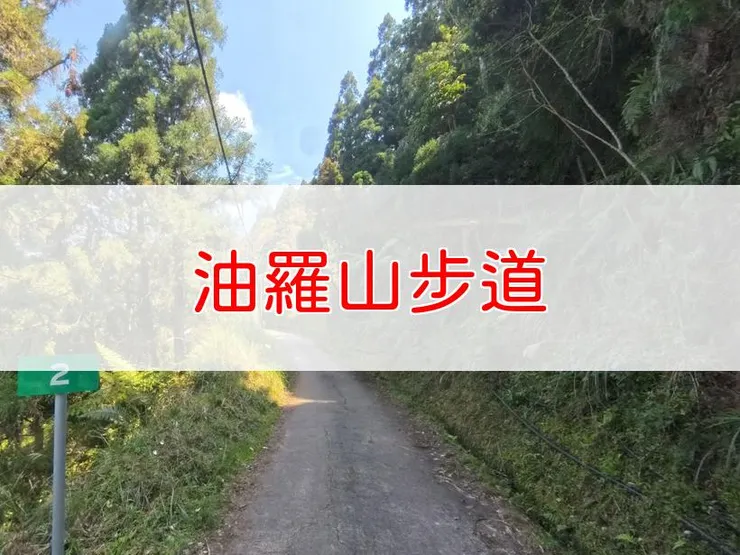 【新竹】油羅山步道 | 全長里程：6.5公里 | 難易度：低至中