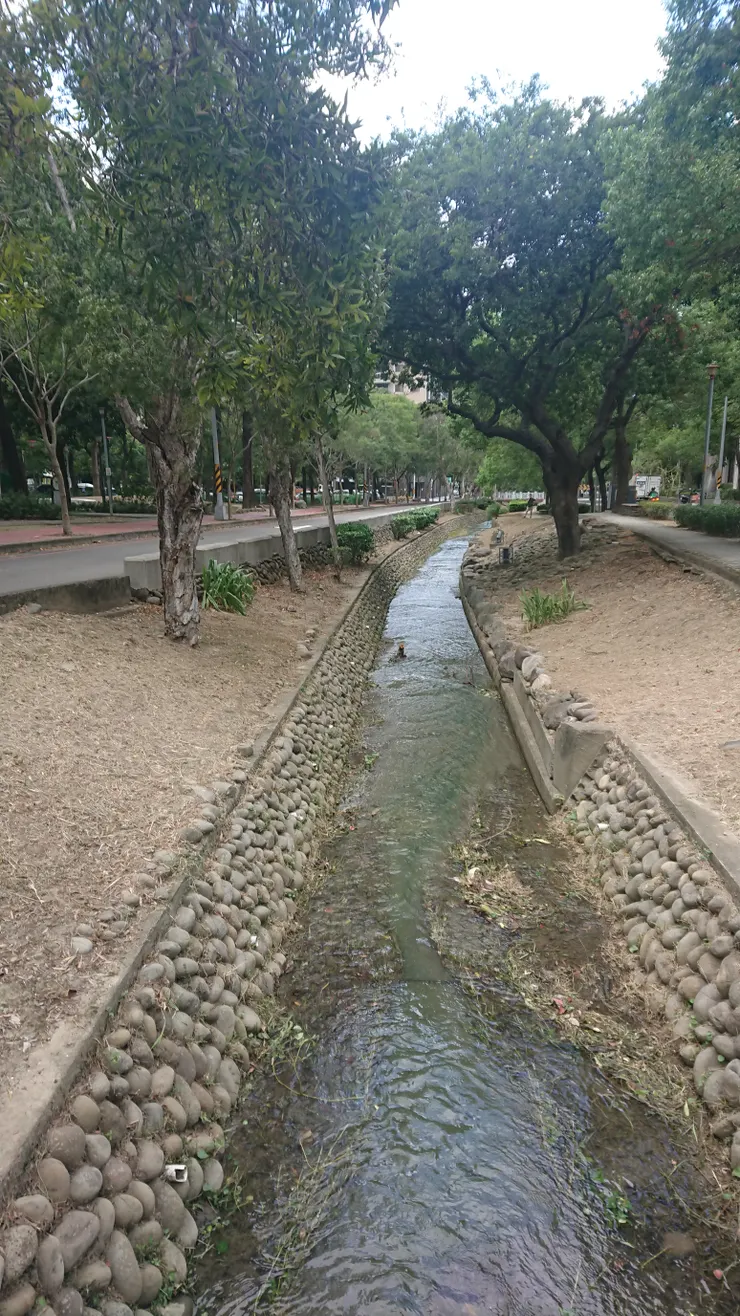 東興圳-六家一路水道
