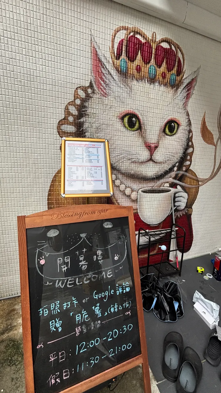 喵喵有約｜環境｜彩繪貓貓