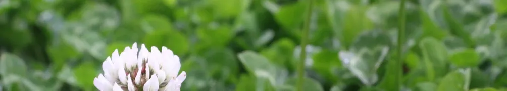 Emilydondon的沙龍