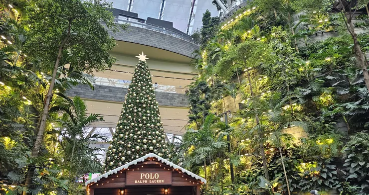 這是星耀樟宜的某一棵聖誕樹!